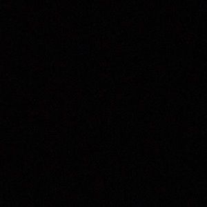 Meet your Posher, Bree